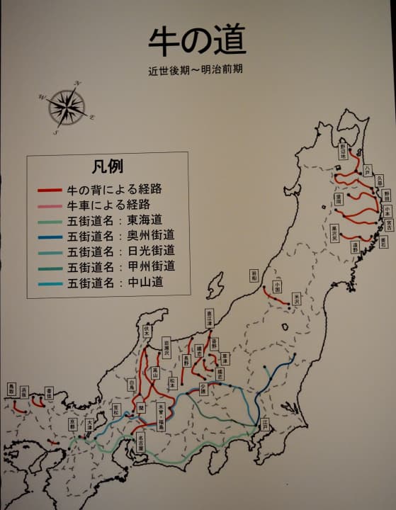 牛の博物館