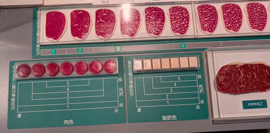 牛の博物館