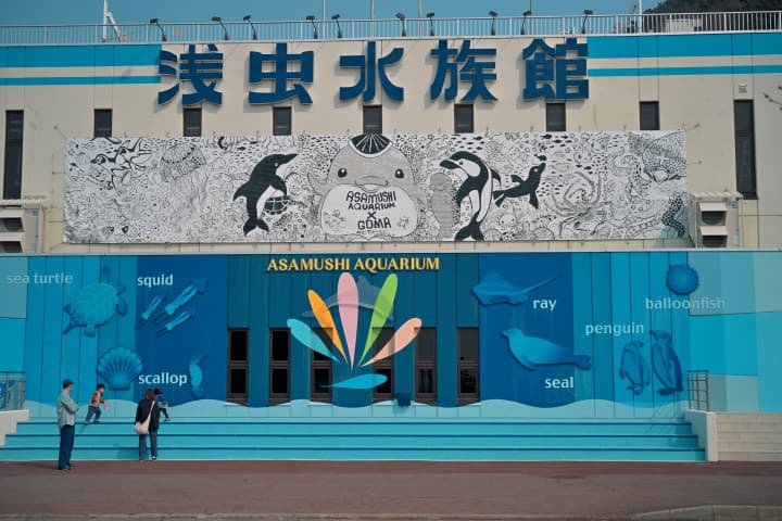 浅虫